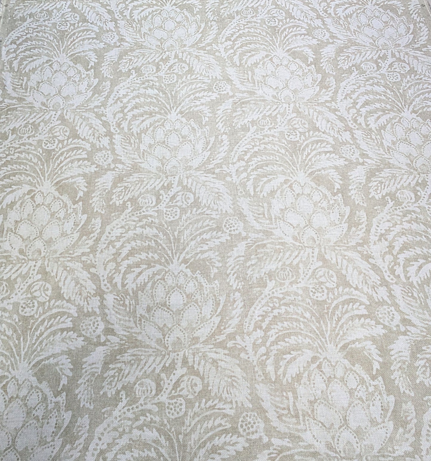 Pina de Indes by Zoffany