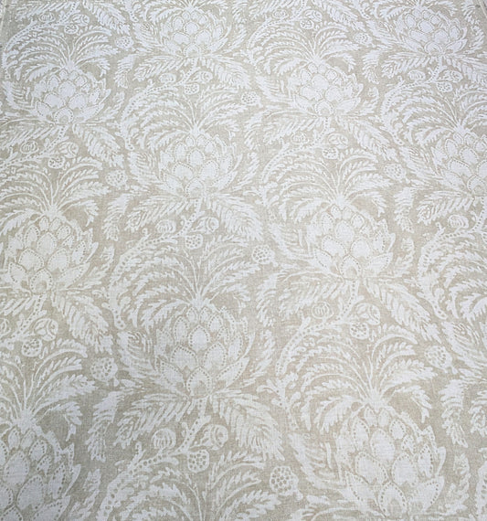 Pina de Indes by Zoffany