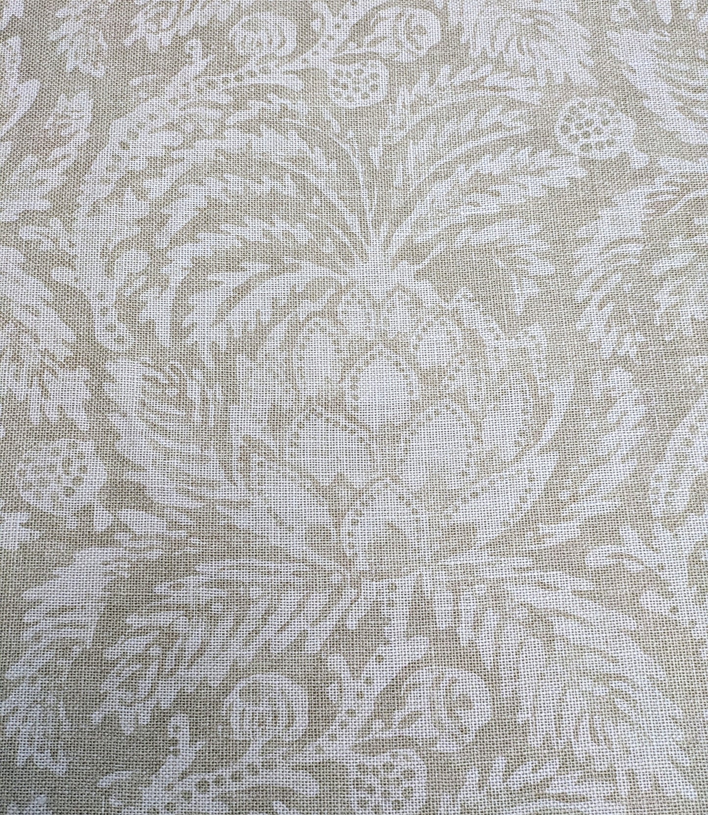 Pina de Indes by Zoffany