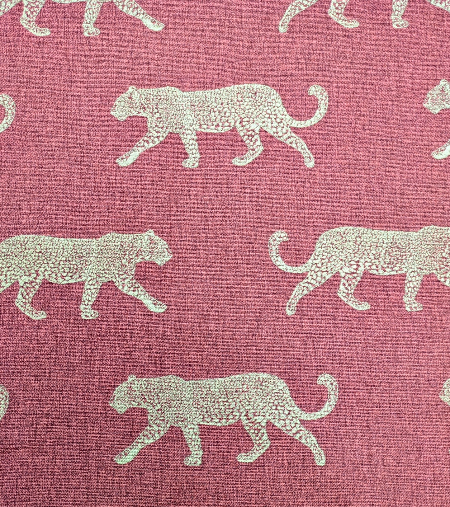 Leopard by Fryetts