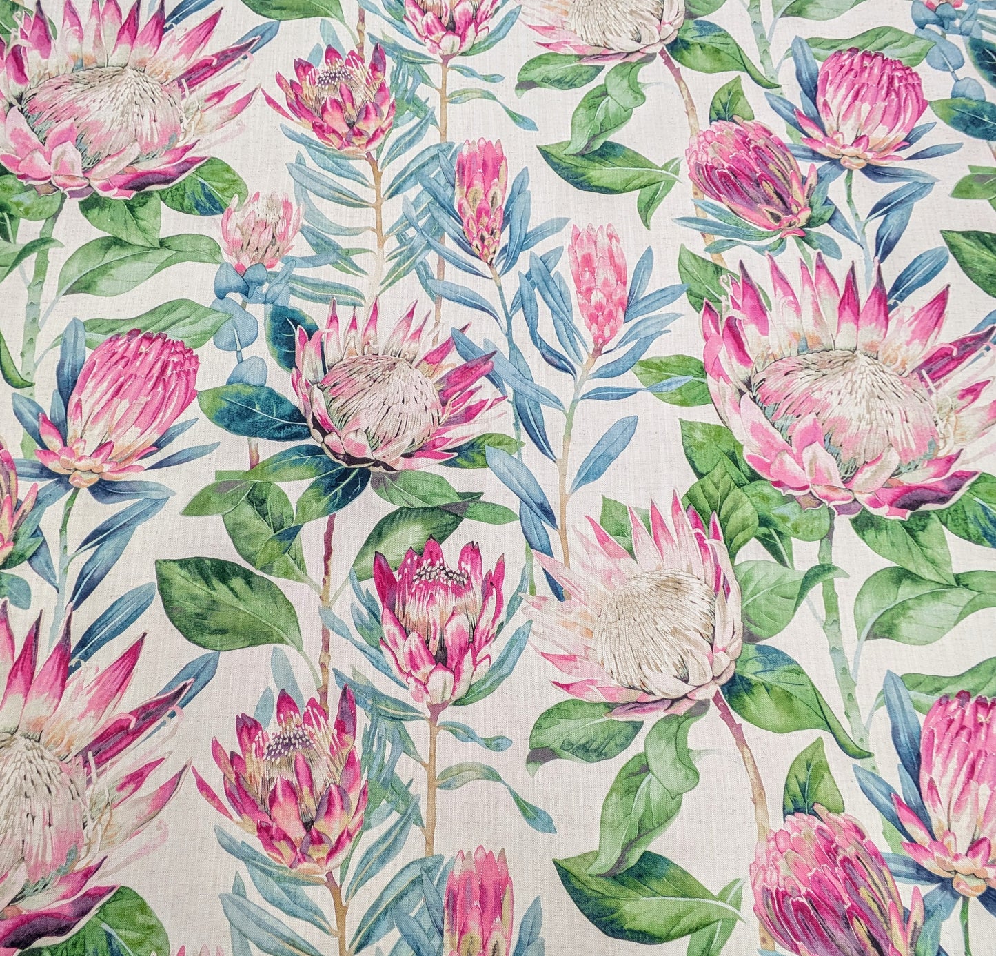 King Protea by Sanderson - 0.65m Remnant