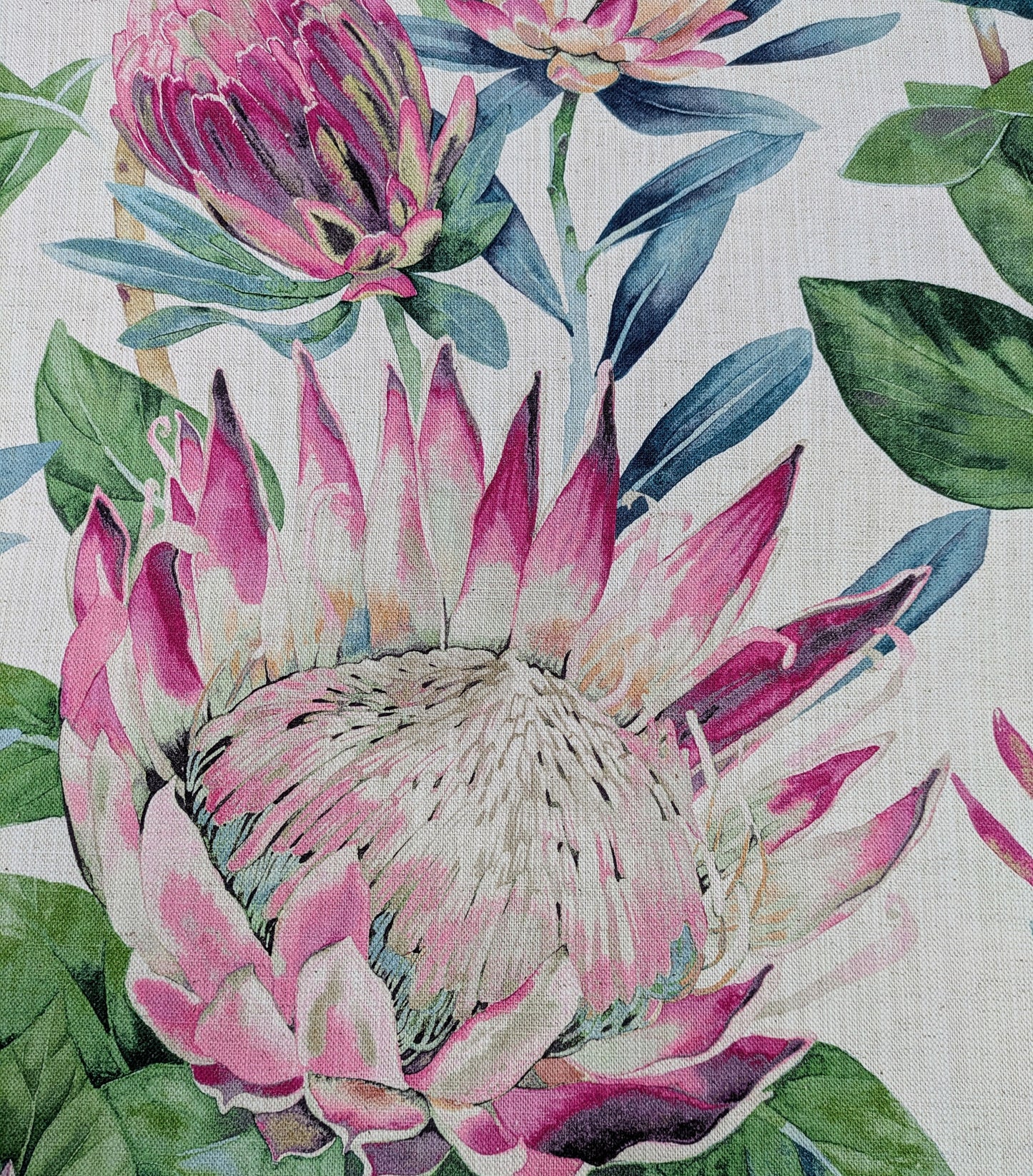 King Protea by Sanderson - 0.65m Remnant