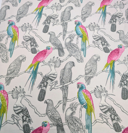 Aviary by ILIV - Begonia Colour