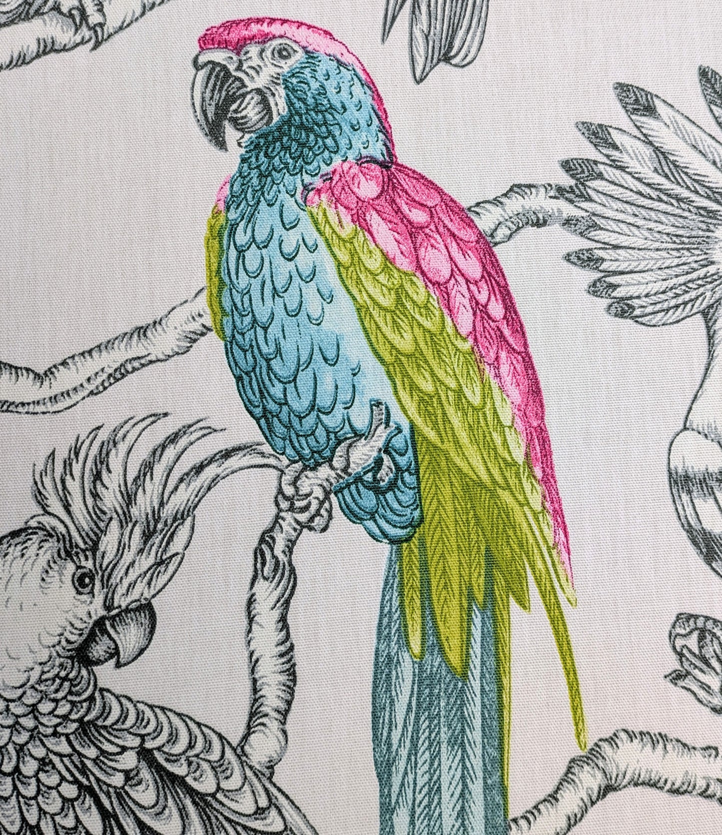 Aviary by ILIV - Begonia Colour