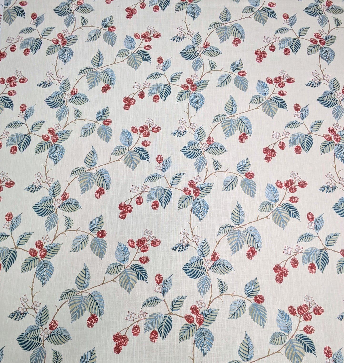 Rubus by Sanderson - 1.6m Remnant