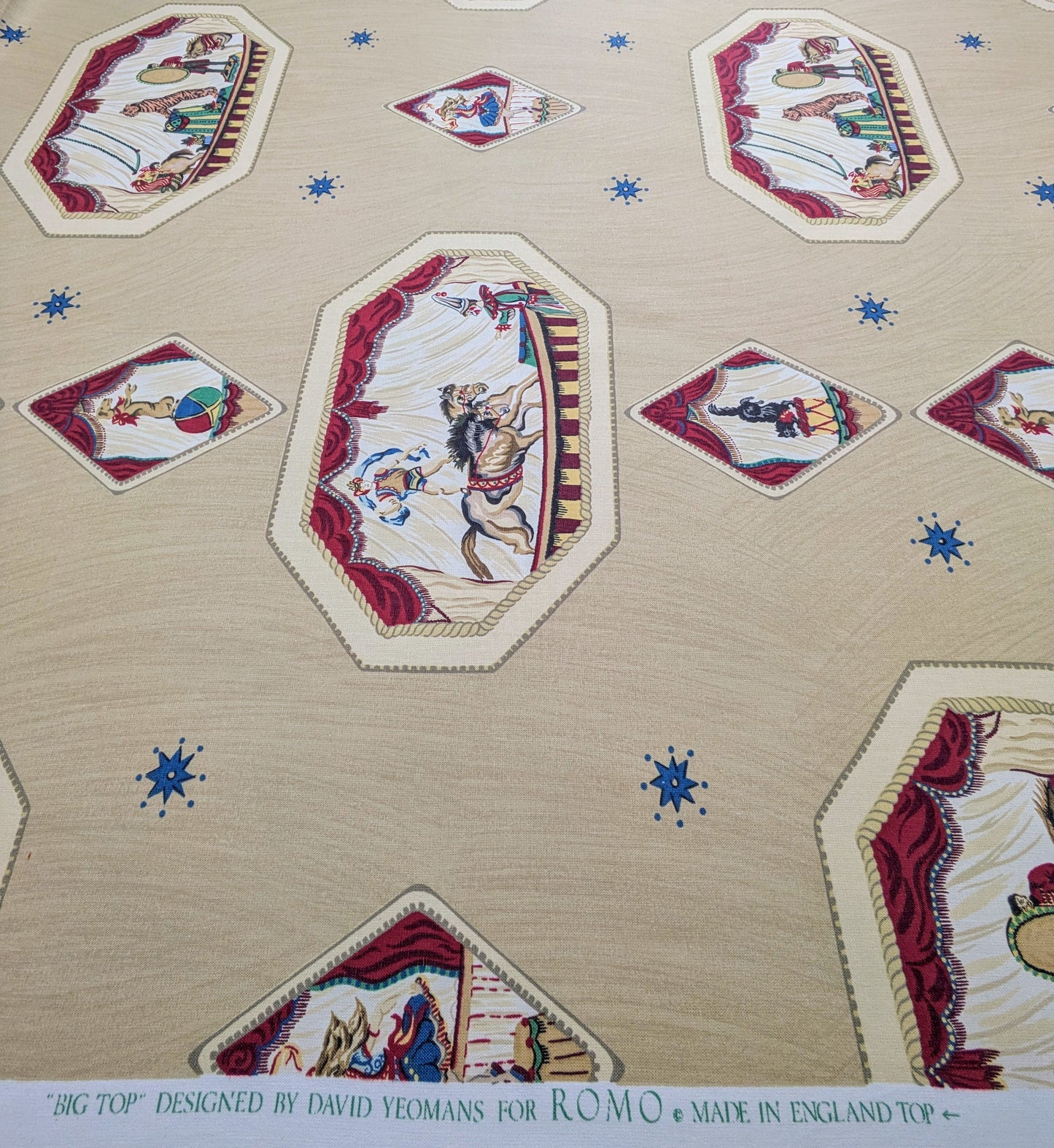 Big Top by Romo - Rare Fabric