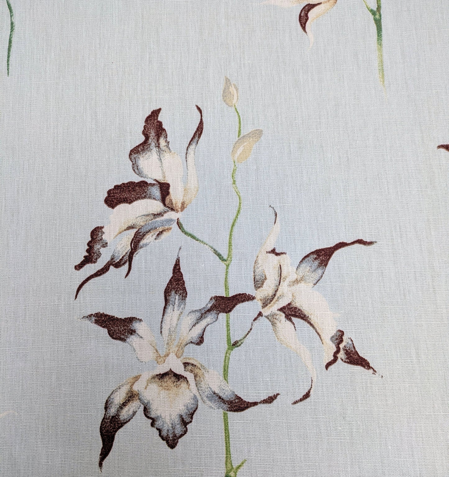 Pollinia by Sanderson - 2.8m Remnant - Discontinued Fabric