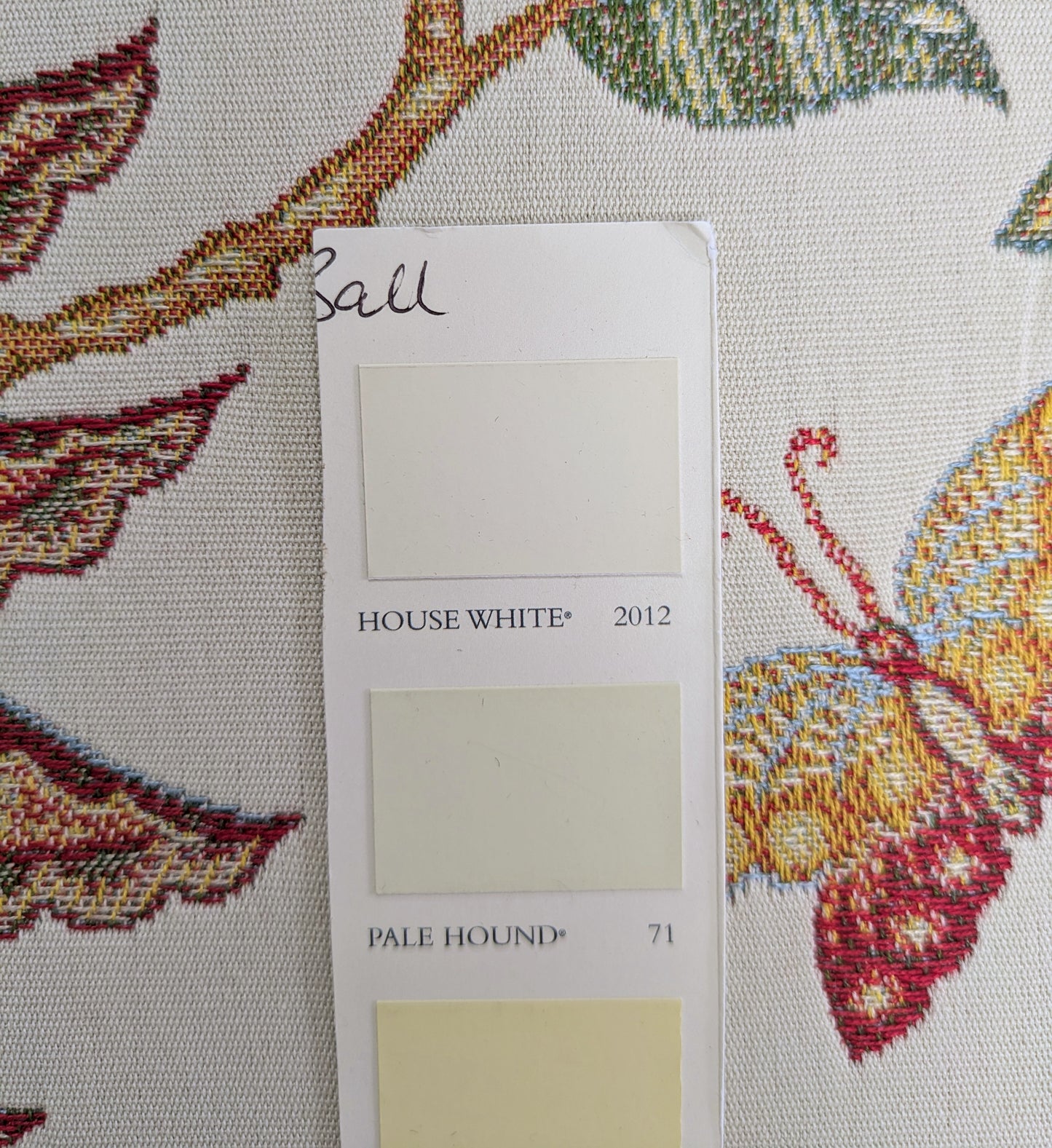 Casimir by ILIV - Coral Colourway