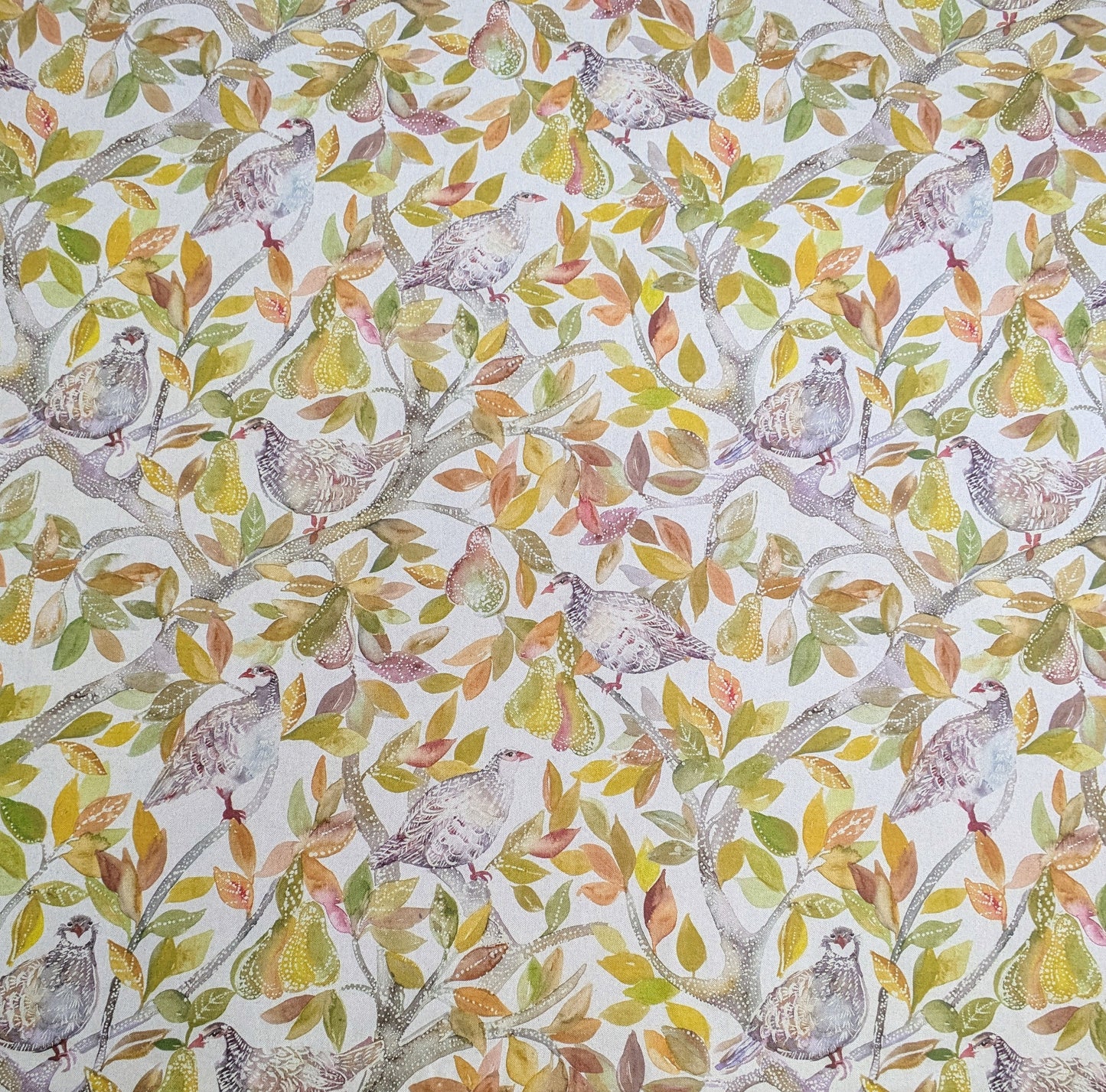 Partridge Spring by Voyage
