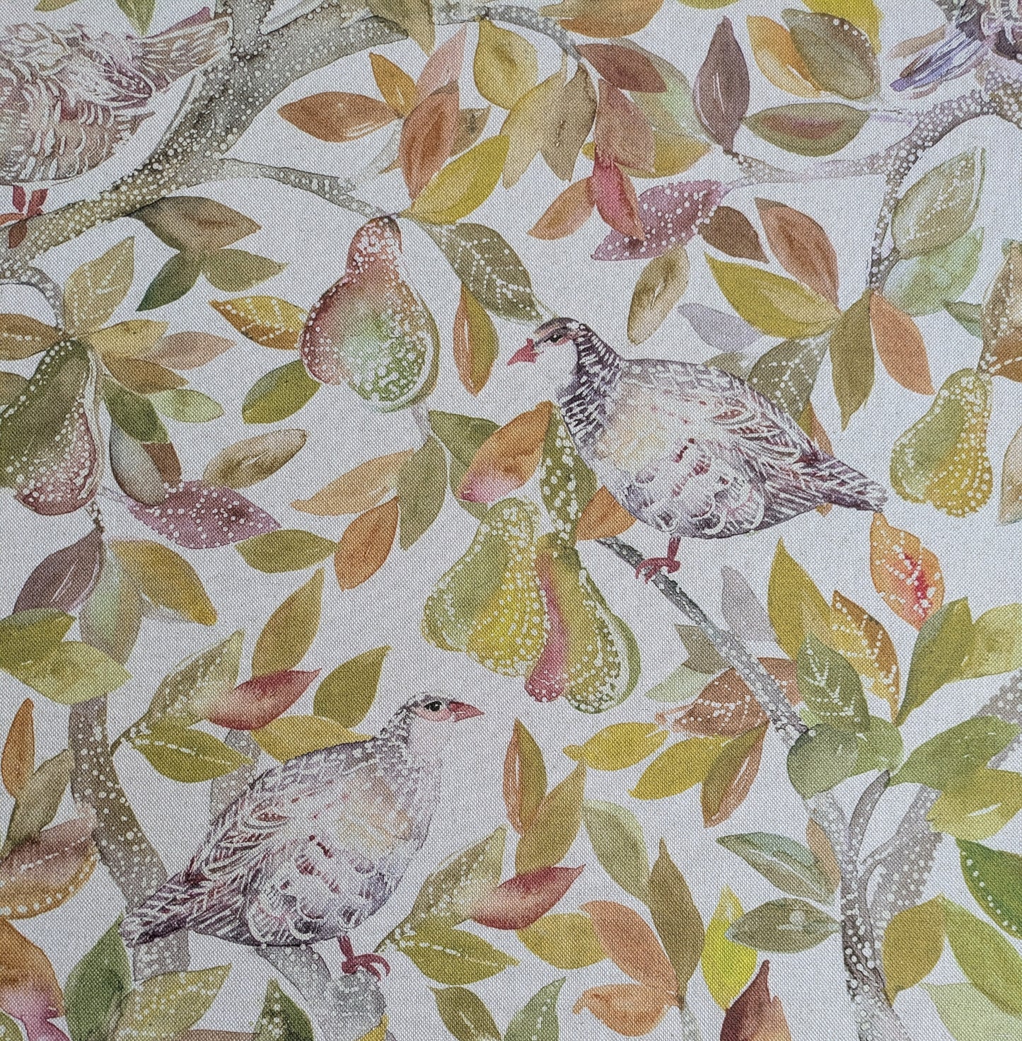 Partridge Spring by Voyage