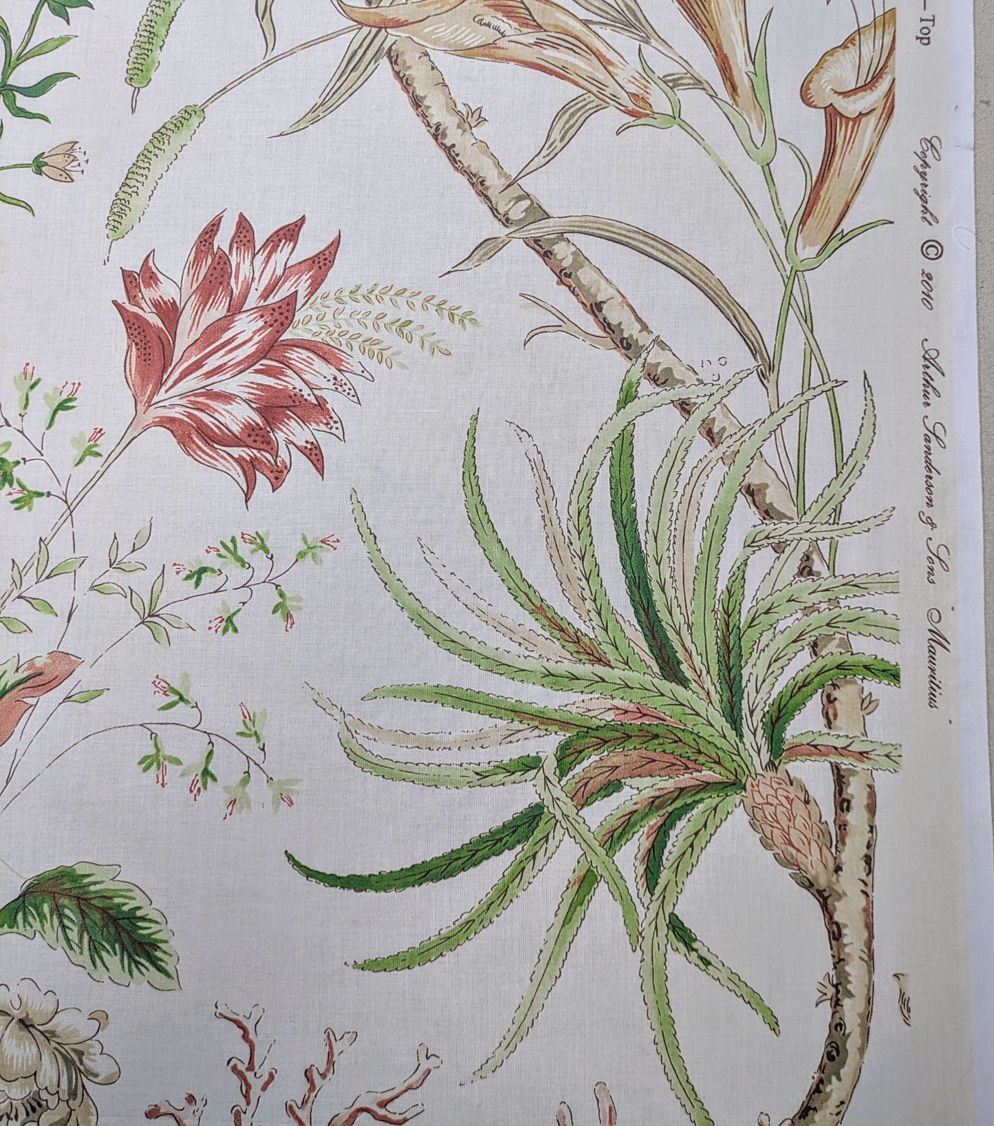 Mauritius by Sanderson - 2.8m Remnant