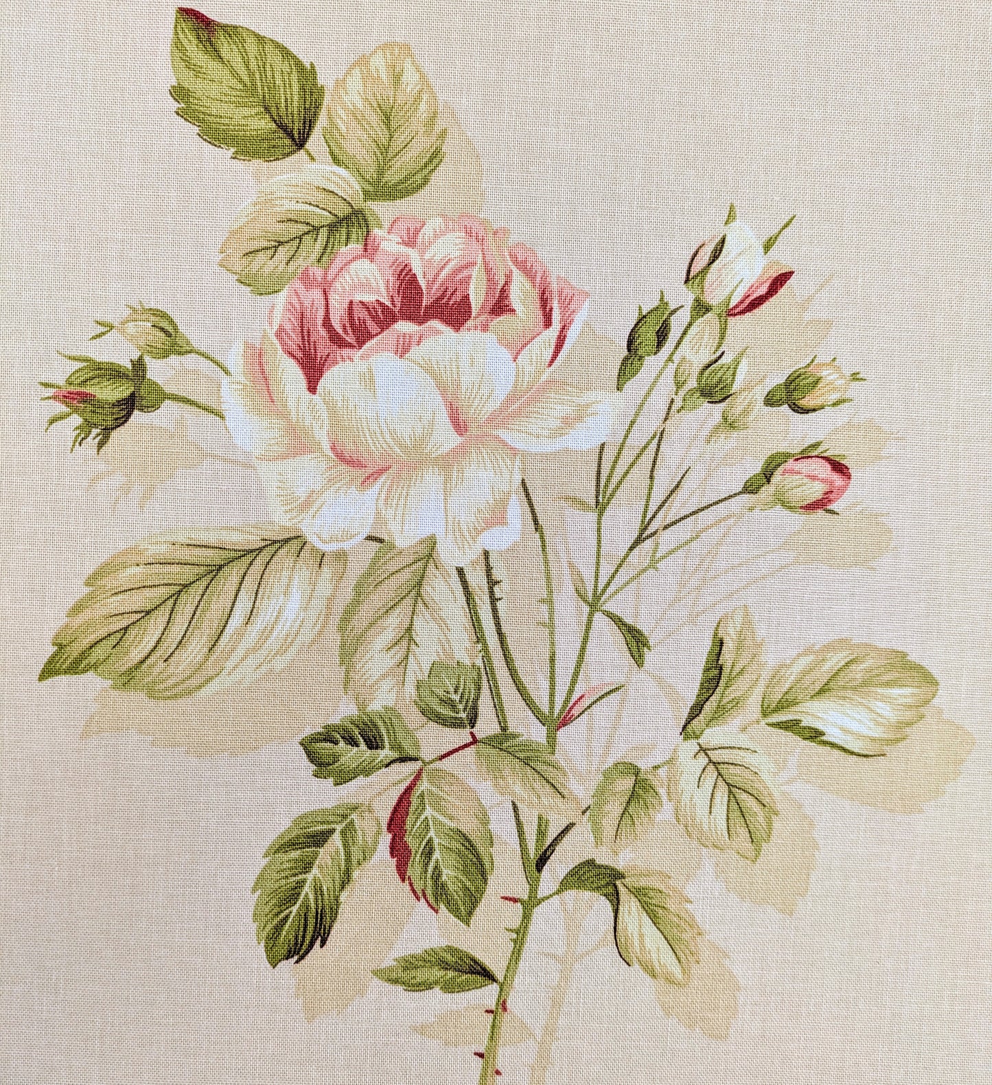 English Rose by Sanderson - Discontinued Fabric