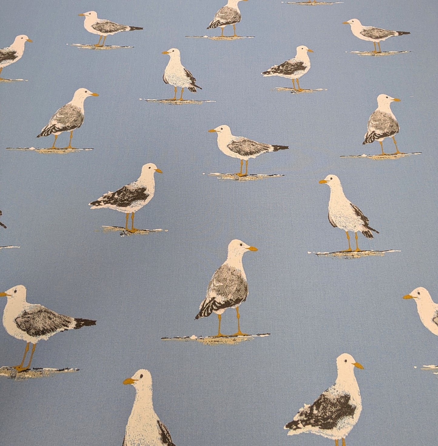Shore Birds by Sanderson