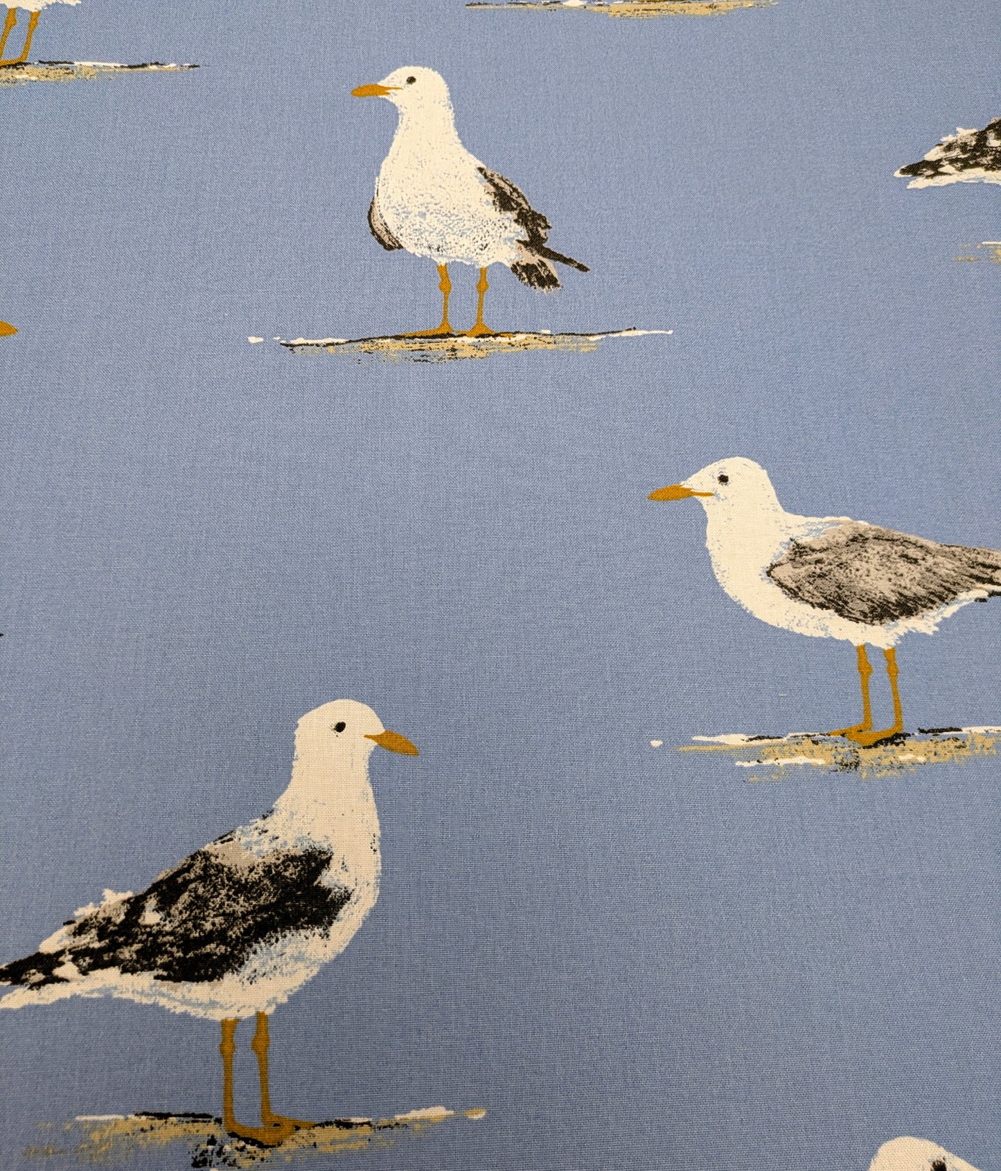 Shore Birds by Sanderson