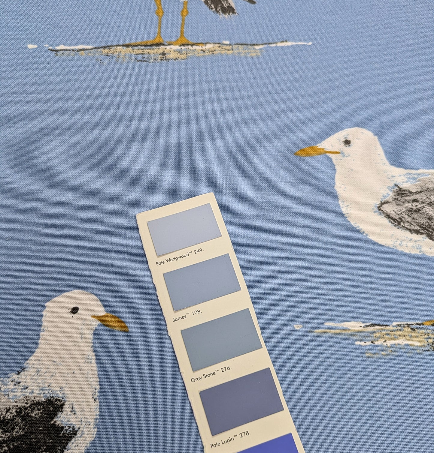 Shore Birds by Sanderson