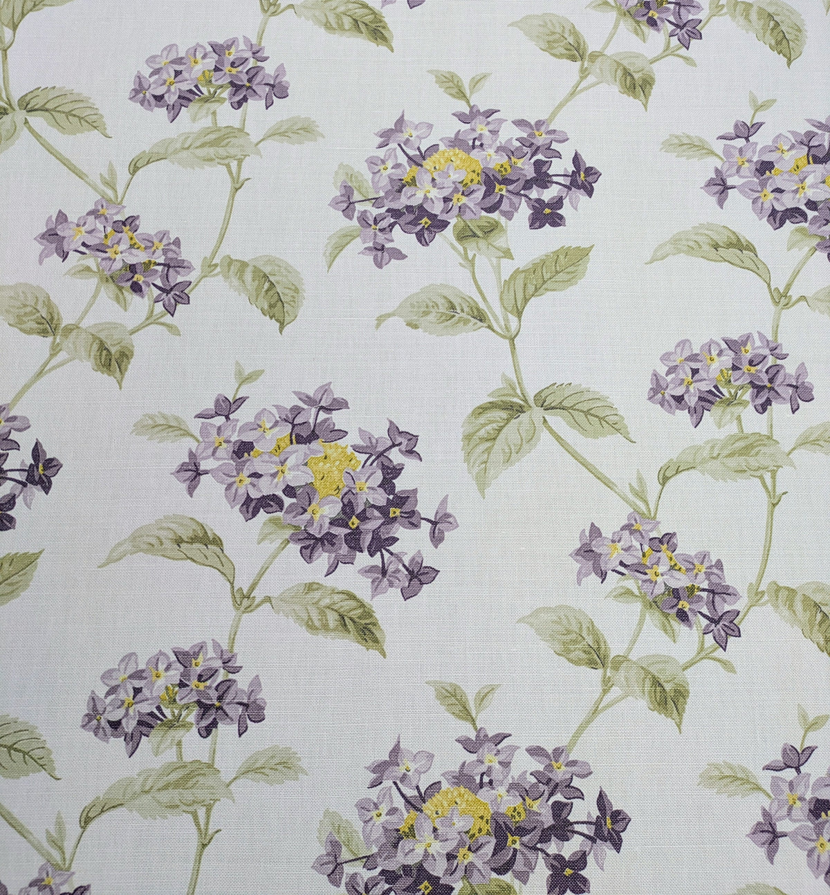 Floribunda by John Lewis - Discontinued Fabric