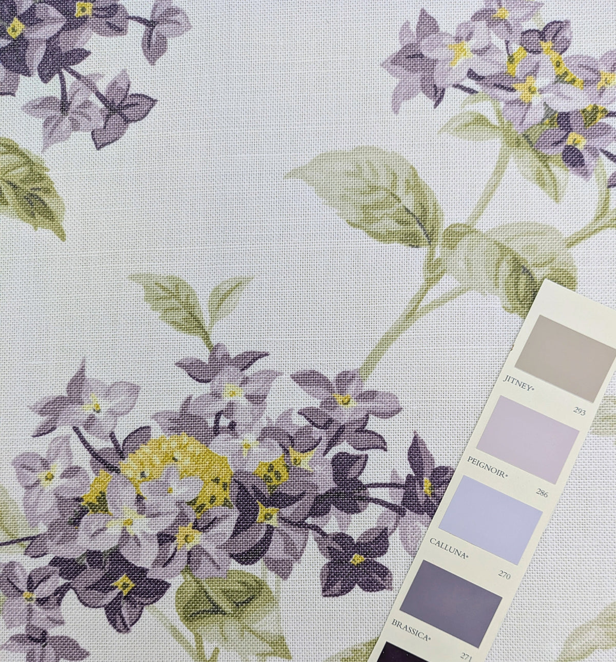 Floribunda by John Lewis - Discontinued Fabric
