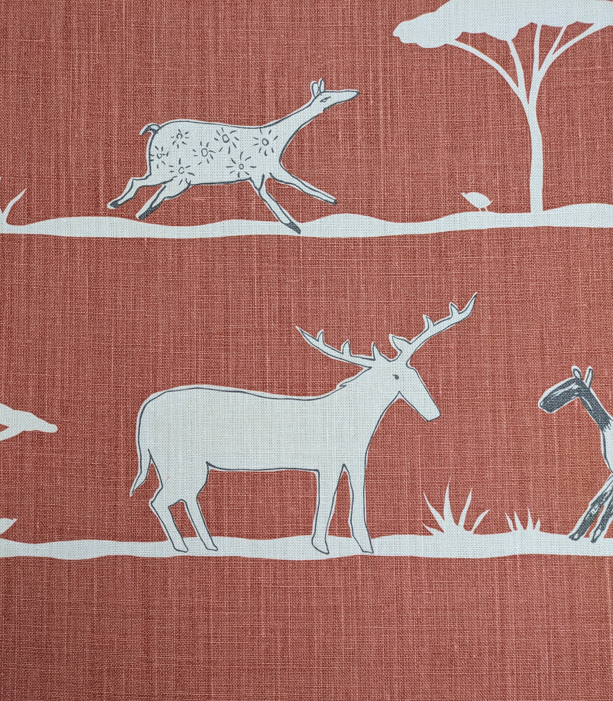Wild & Free by Vanessa Arbuthnott - 1.6m Remnant