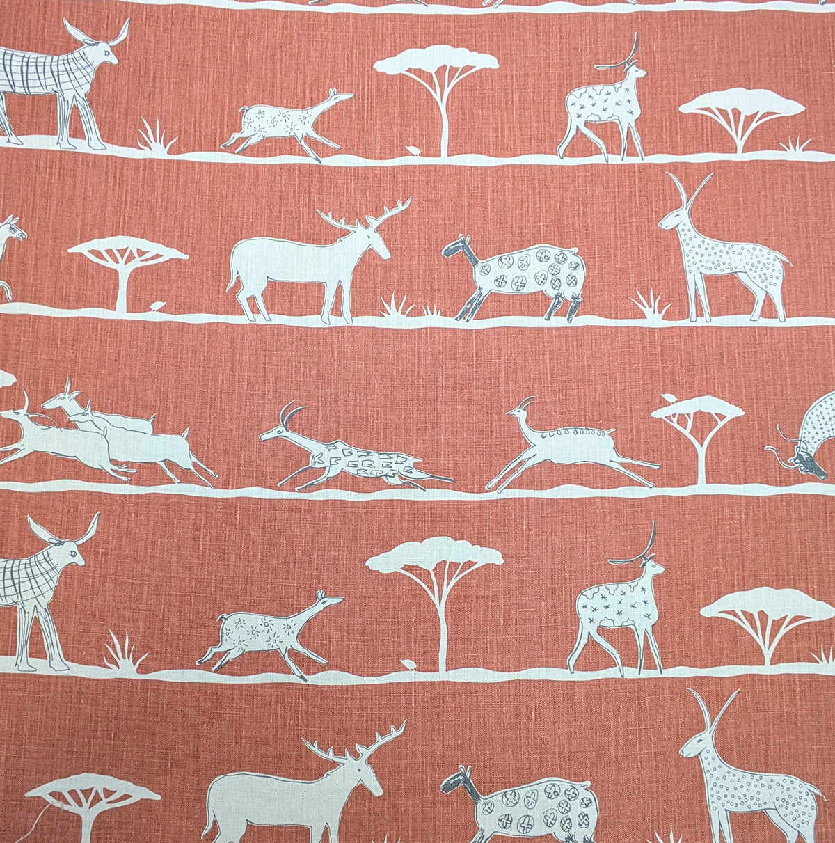 Wild & Free by Vanessa Arbuthnott - 1.6m Remnant