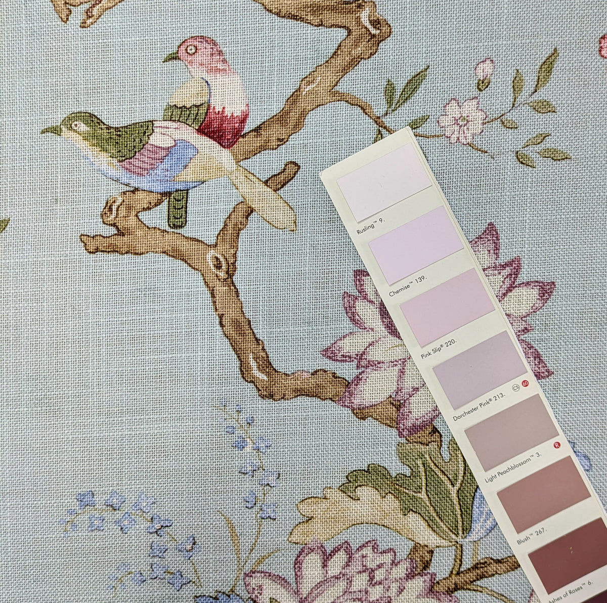 Oriental Bird by GP & J Baker - Eau de Nil Colourway