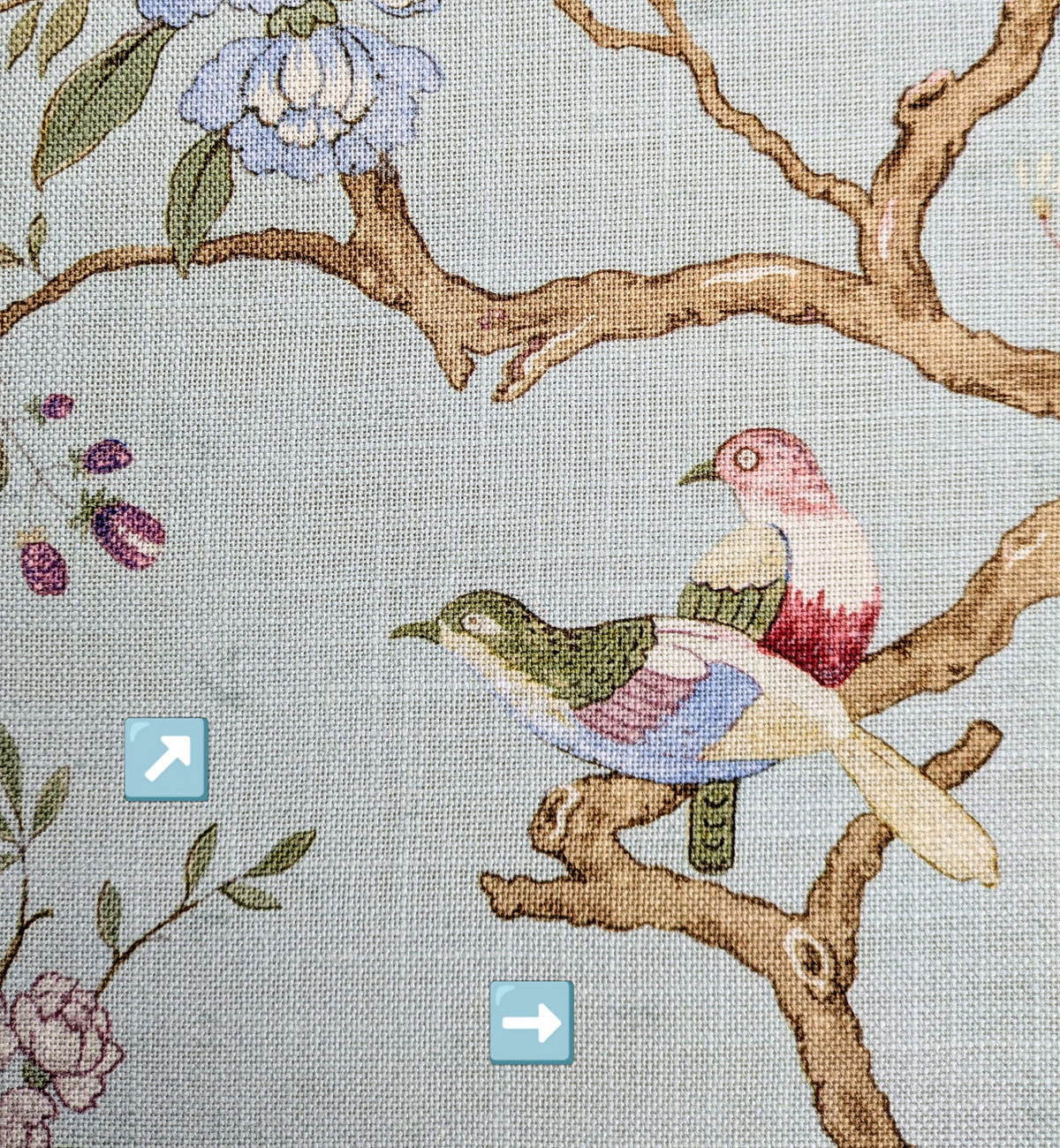 Oriental Bird by GP & J Baker - Eau de Nil Colourway