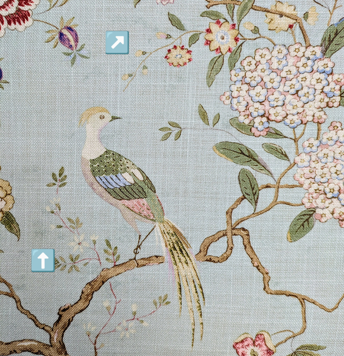 Oriental Bird by GP & J Baker - Eau de Nil Colourway