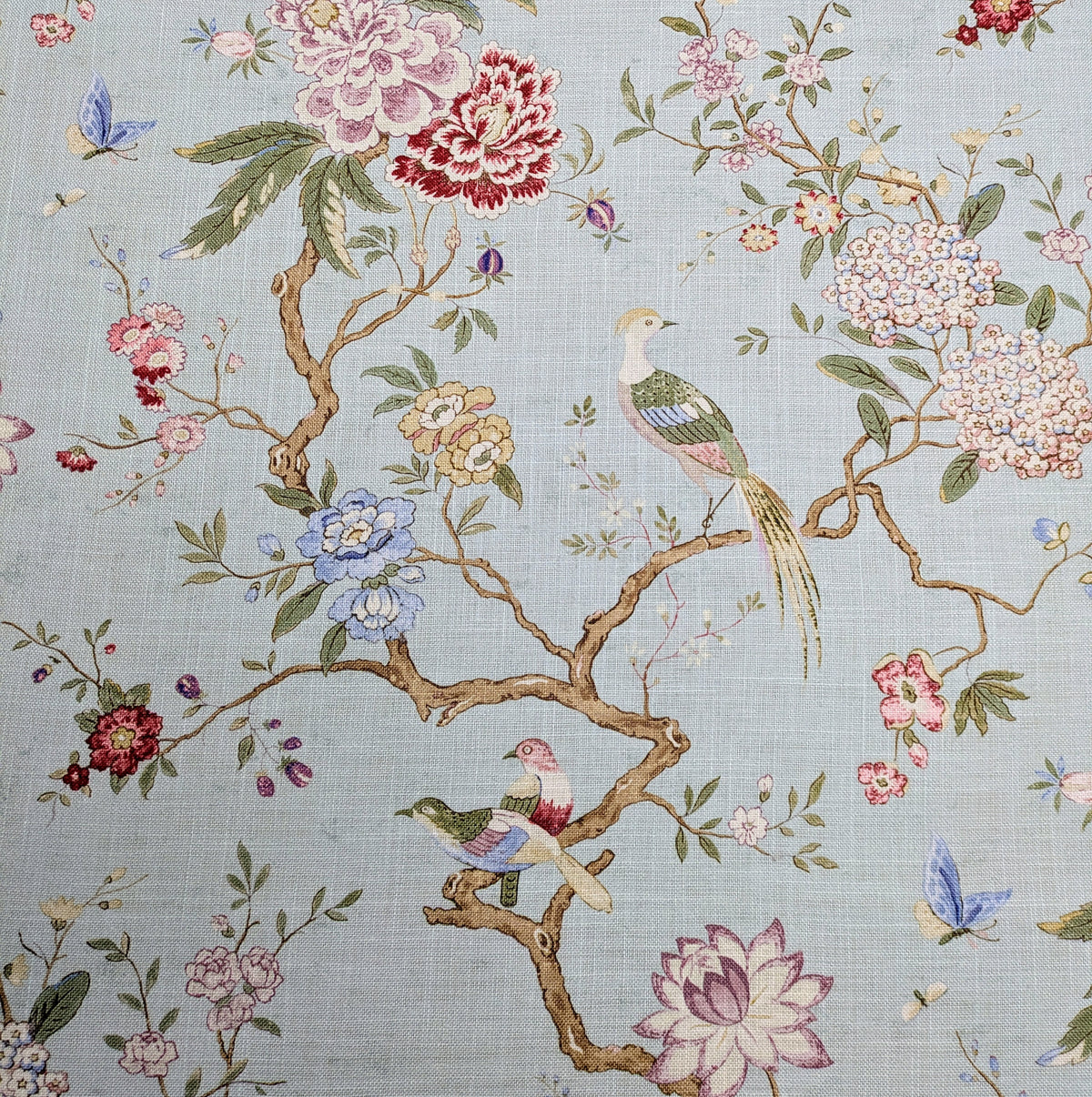 Oriental Bird by GP & J Baker - Eau de Nil Colourway