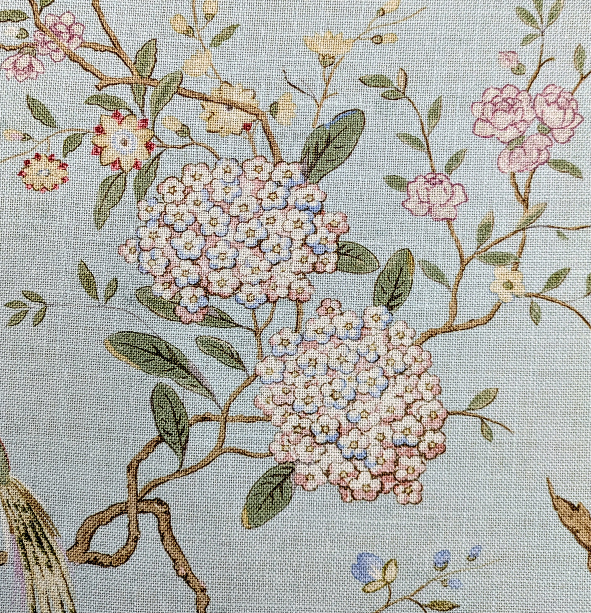 Oriental Bird by GP & J Baker - Eau de Nil Colourway
